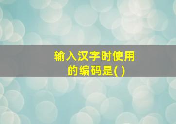 输入汉字时使用的编码是( )